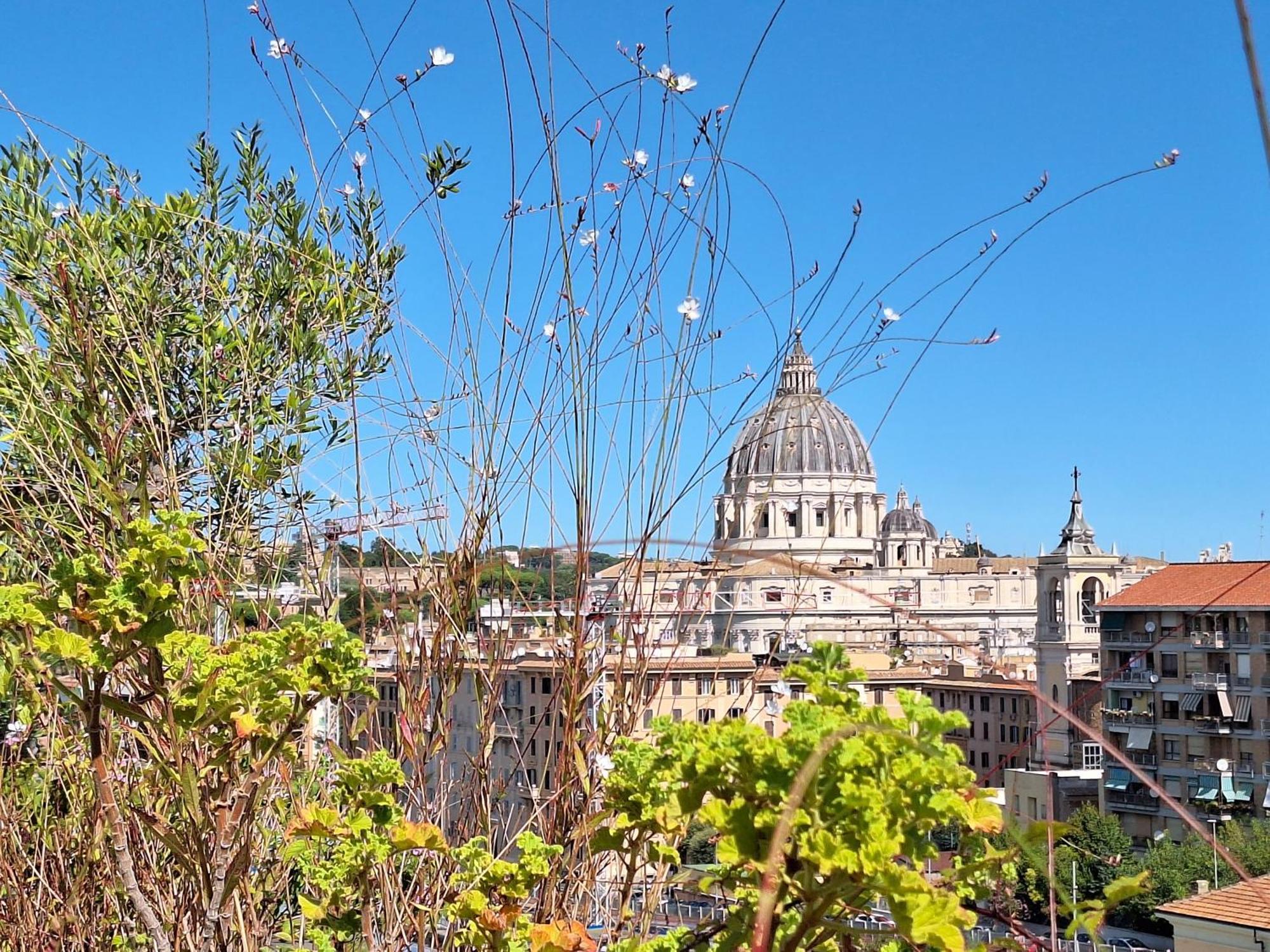 Delmirani'S Book Apartments - Vatican View Rom Exteriör bild